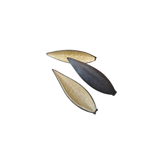 Canoinhas natur. pr stk