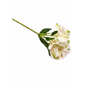 Inka lilje hvid � 42 cm