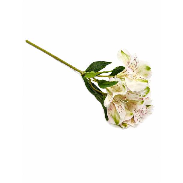 Inka lilje hvid � 42 cm