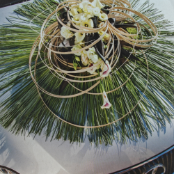 Auto rondel 13x20 cm