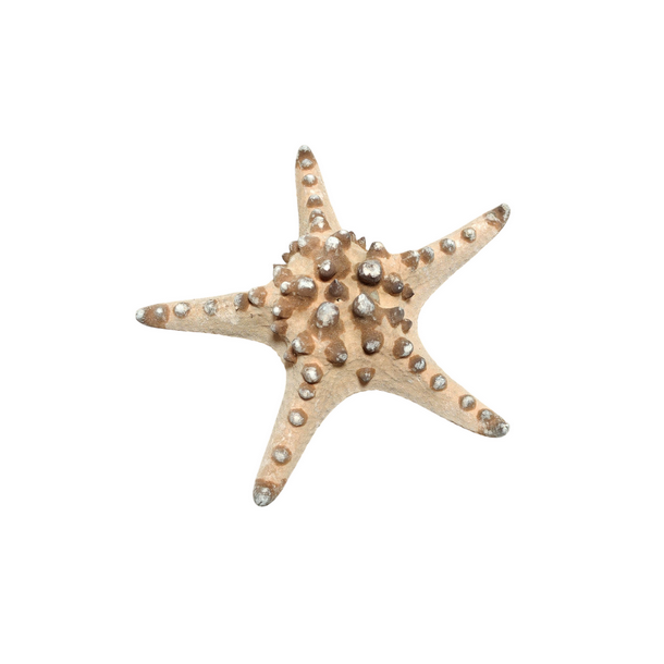 S�stjerne 15-18 cm pr. stk.