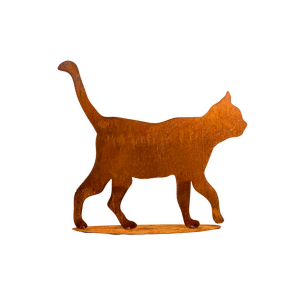 Kat p� platte rust