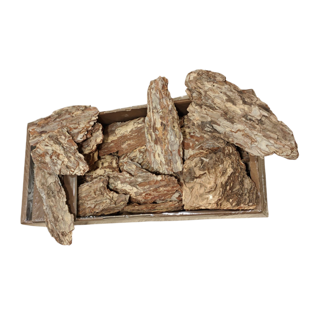 Barkstykker maritima kasse