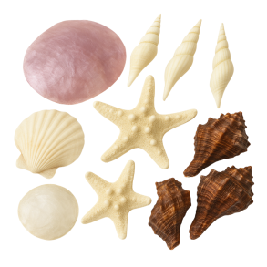 MUSLINGER OG SNEGLEHUSE