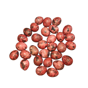 Vagtel�g r�de 30 stk.