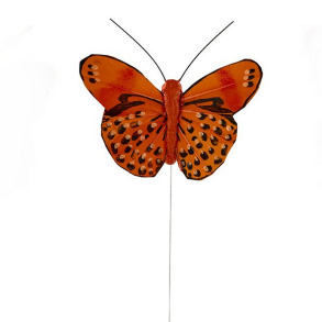 Sommerfugl orange nuancer 2