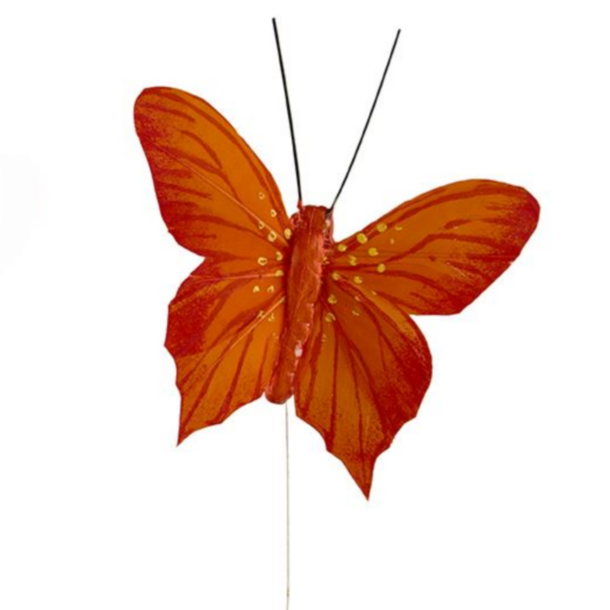 Sommerfugl orange nuancer 3