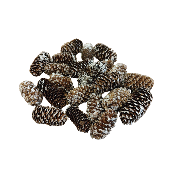 Grankogle hvidvasket 180 gram 