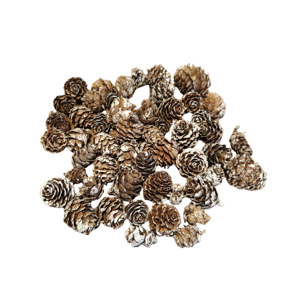 L�rke kogle hvidvasket 1-2 cm 150 gram