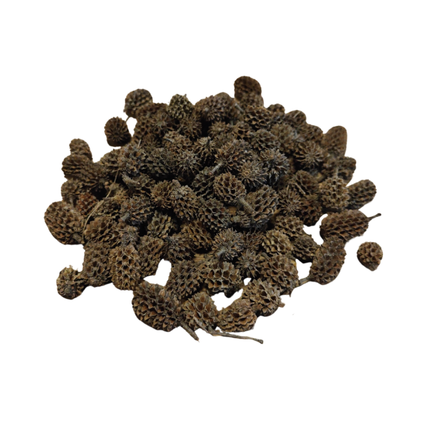 Casuarina kogle natur 100 gram.