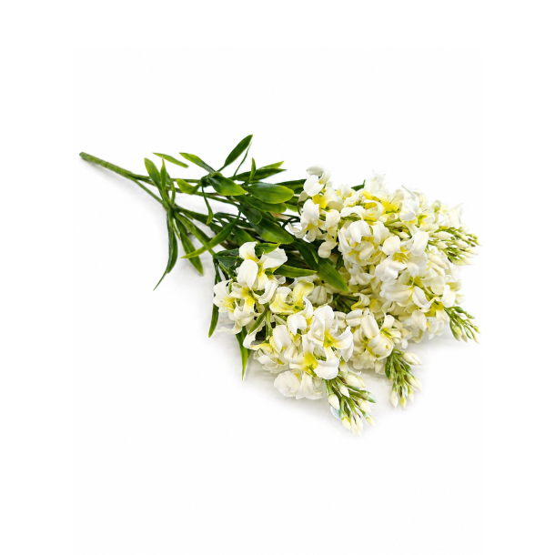 Hyacint hvid � 33 cm