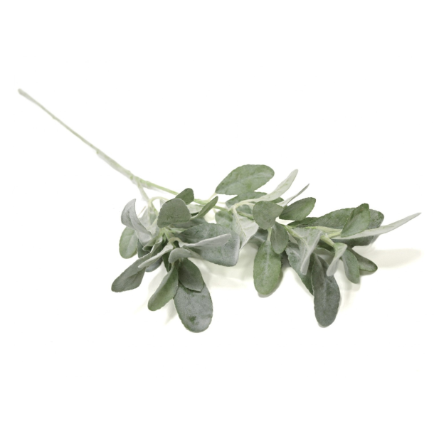 Lamme�re � 74 cm
