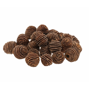 Platyspernum Natur � 5 stk