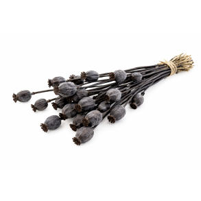 Valmue Bundt Sort � ca. 10 stk