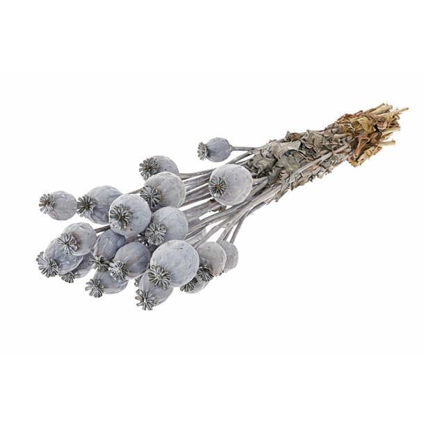 Valmue Bundt Frozen Milka � ca. 20 stk