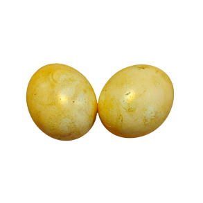 H�nse�g solgul antik