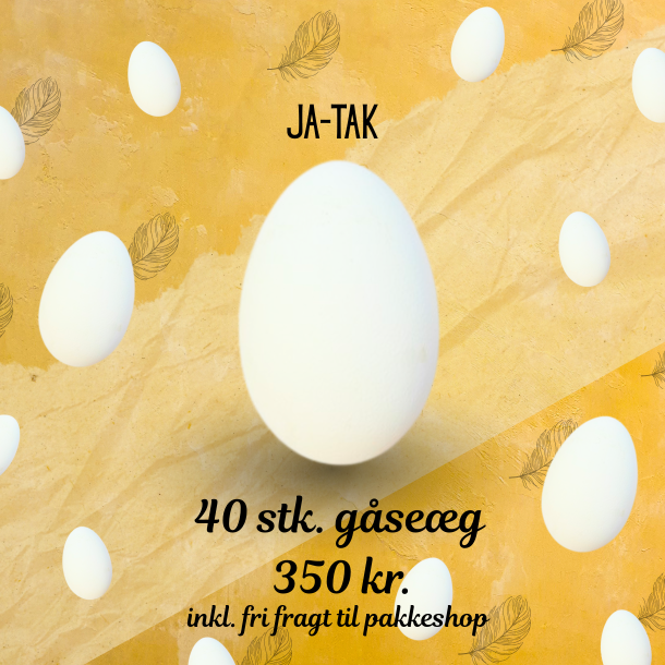 Ja tak G�se�g Hvid �gte