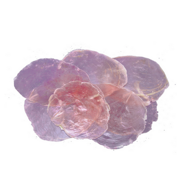 Capiz-skaller rosa 5-10 cm pr. s�t.