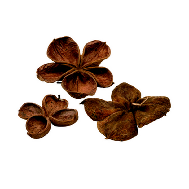 Landlotus naturfarvet pr stk