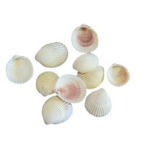 Hjertemuslinger 10 stk. s�t