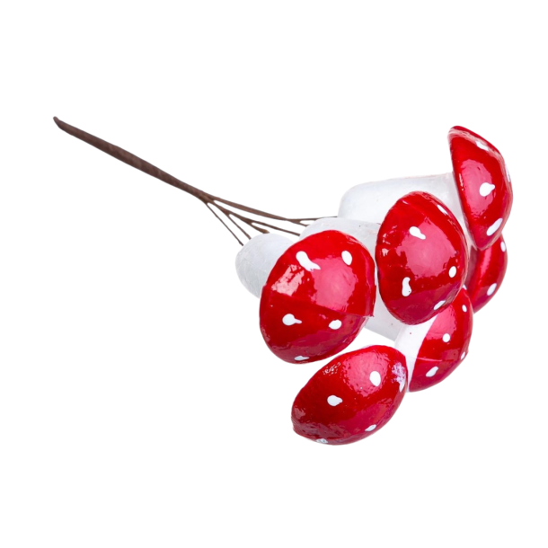 Svampe p� tr�d 6 stk