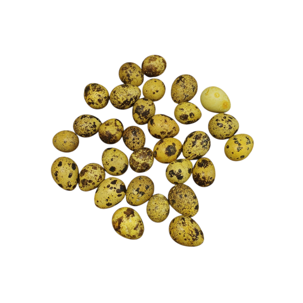 Vagtel�g gule 30 stk