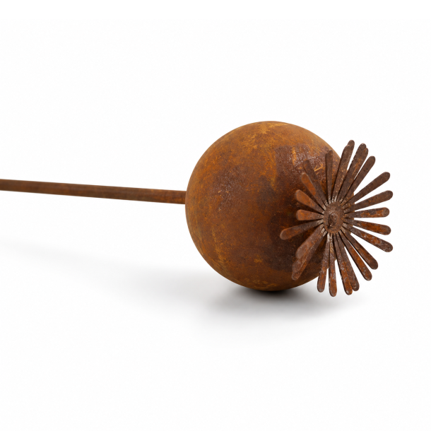 Valmuekapsel rust l. 40 cm