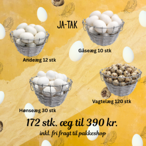 Ja tak �g 172 stk �gte + fri fragt