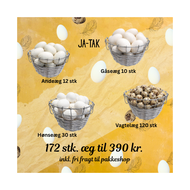 Ja tak �g 172 stk �gte + fri fragt