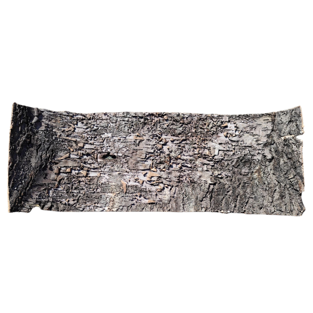 Birkebark 24x70 cm m�rk