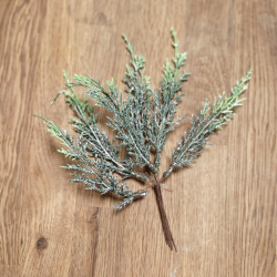 Cypress med hvid effekt