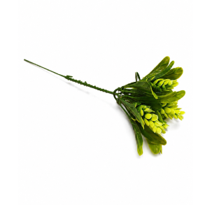 Sedum gr�n � 22 cm