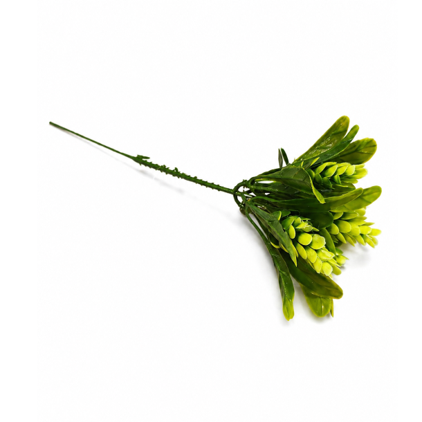 Sedum gr�n � 22 cm
