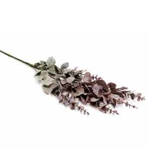 Eucalyptus st�vet gr�n/lilla � 90 cm