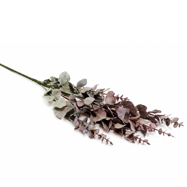 Eucalyptus st�vet gr�n/lilla � 90 cm