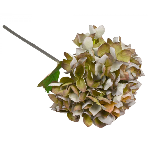 Hortensia gr�n/bl� � 49 cm