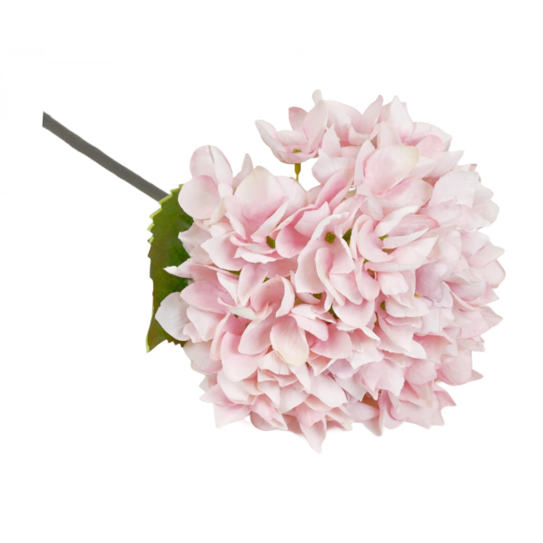 Hortensia lyser�d � 49 cm