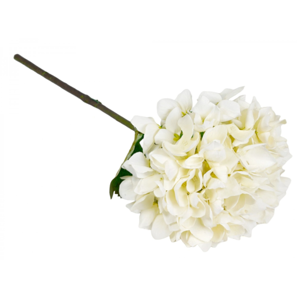 Hortensia hvid � 49 cm