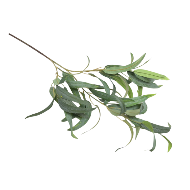 Eucalyptus gr�n 76 cm