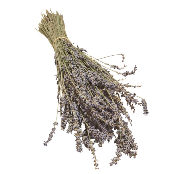 Lavendel 100g 40 cm