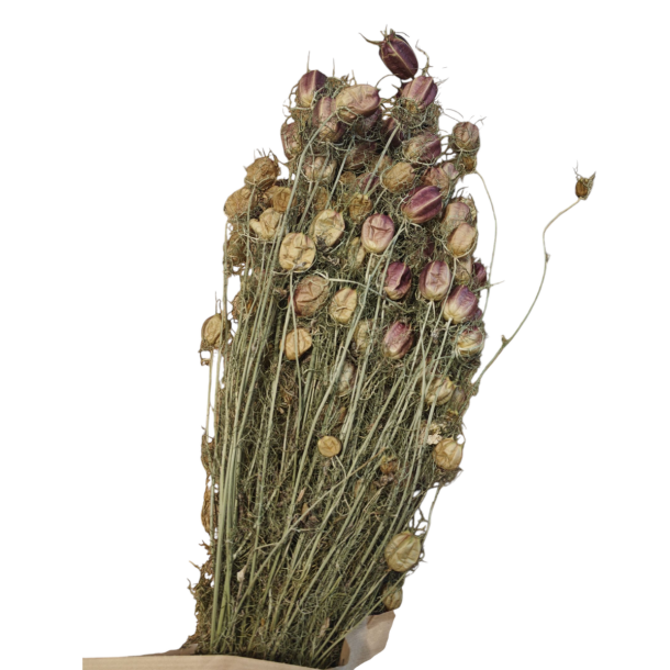 Jomfru i det gr�nne � t�rret blomsterbundt 50 g