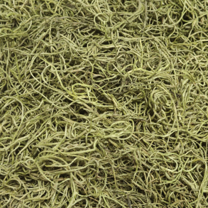 Tillandsia mosgr�n 200 gram.