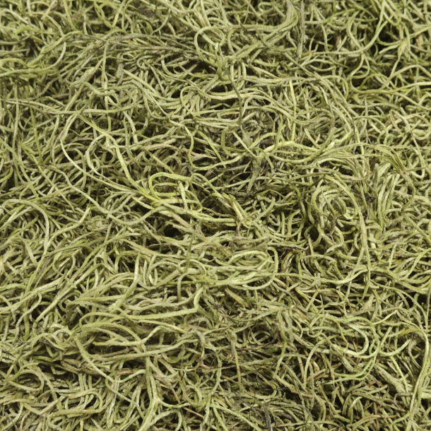 Tillandsia mosgr�n 200 gram.