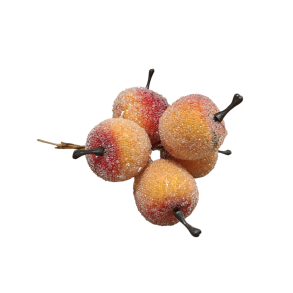 Dekorative �bler orange/r�d � 5 stk