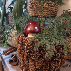 Dekorationssvamp bordeaux � 9 cm