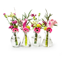 Glas vaser 4 ass. klar 