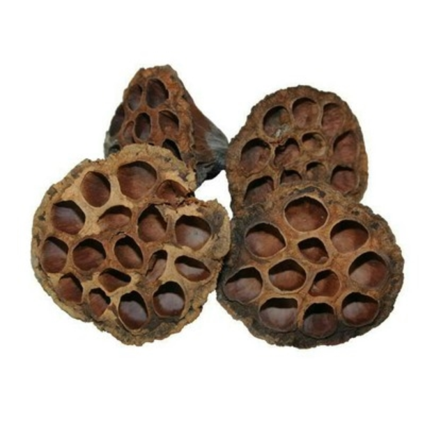 Lotus 6�8 cm 2. sortering � 50 stk