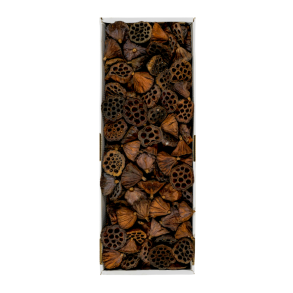 Lotus 200 stk 6-8 cm