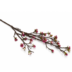 Blomstergren natur rosa � 100 cm