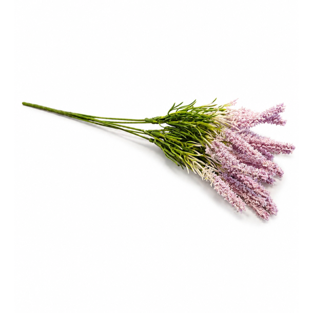 Lyng lilla � 35 cm